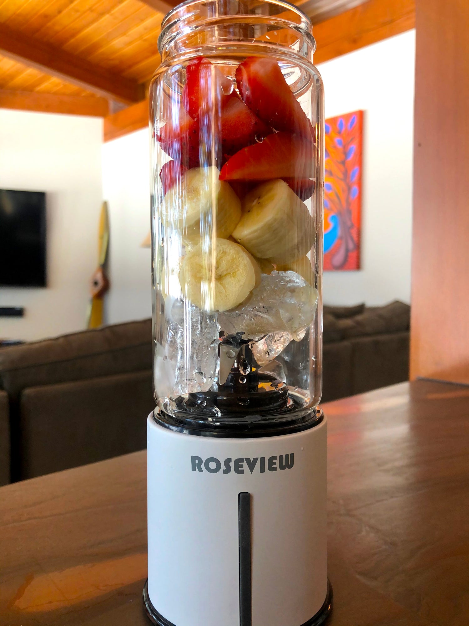  Glass blender for shakes and smoothies ROSEVIEW glass